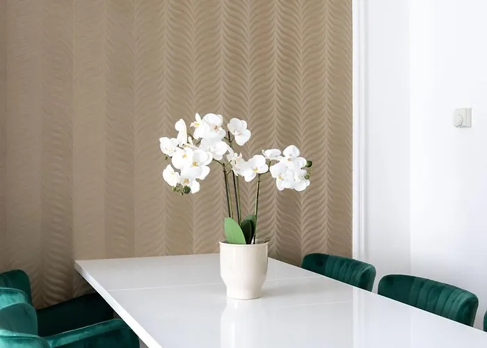 Luxy Spacious & Cozy With Balcony 公寓 *